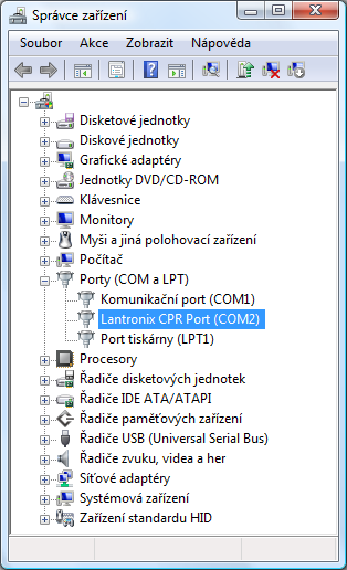 Device Manager with a virtual port (the system behaves like a standard COM).