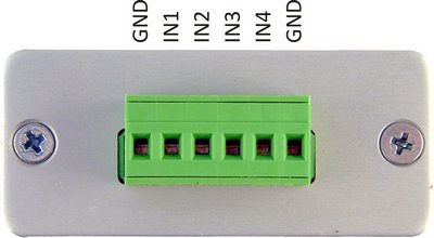 Analog Inputs terminal