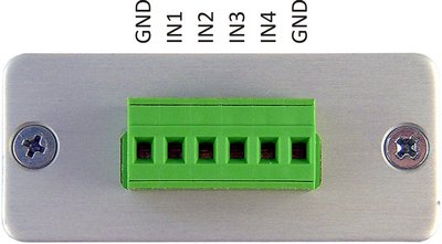 Analog Inputs terminal