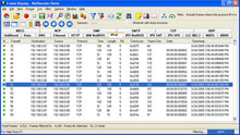 NetDecoder Summary Pane